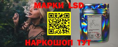 стаф Донецк