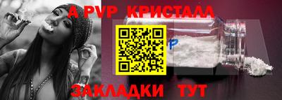 стаф Донецк