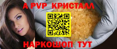 стаф Донецк