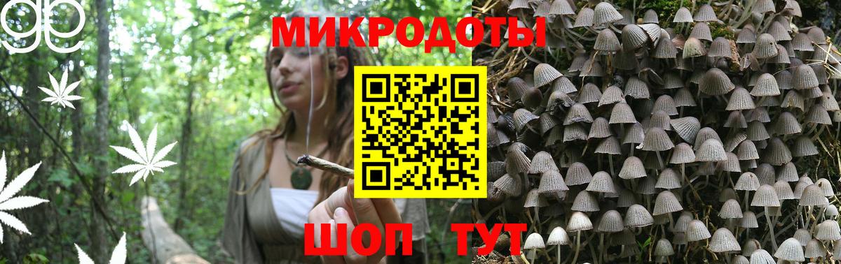 Псилоцибиновые грибы Psilocybe Ульяновск